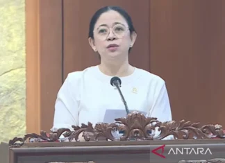Ketua DPR RI Puan Maharani Minta Insiden Pilu Brimob Lindas Ojol Diusut Tuntas dan Transparan