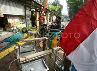 Taman Bendera Pusaka Dipastikan tetap Dibangun