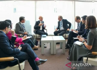 Wamenlu Bahas Isu Palestina pada Pertemuan Bilateral di PBB