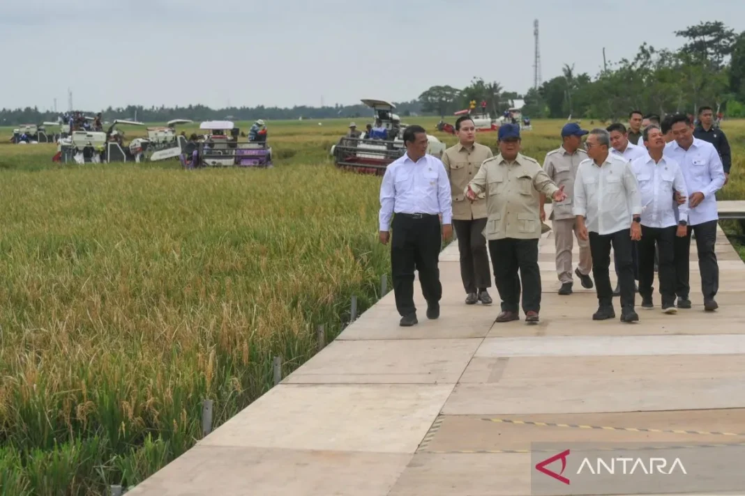Prabowo bertekad Indonesia swasembada pangan tiap tahun