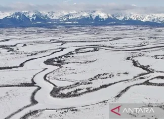 Trump Dikabarkan Minta Rencana Invasi ke Greenland