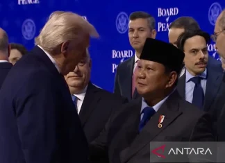 Dewan Perdamaian Bantu Ciptakan Jalan bagi Kemerdekaan Palestina