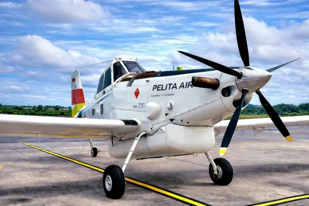 Kemenhub sebut Pilot pesawat carter Pelita jatuh di Nunukan meninggal