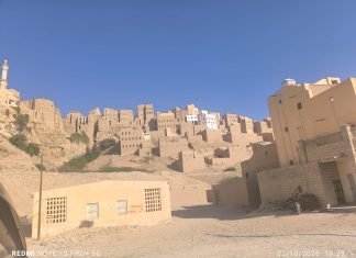 Catatan Abah Dahlan: “Tarim Habib”