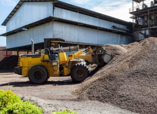 IPB Dorong Pemanfaatan Limbah Kelapa Sawit Jadi Produk Bernilai Ekonomis dan Ramah Lingkungan