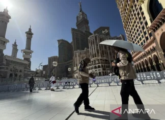 Antisipasi Jamaah Tersesat, Petugas Siaga di 9 Titik Masjidil Haram