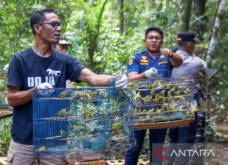 BKSDA NTT Lepasliarkan 1.000 Burung di Manggarai Barat