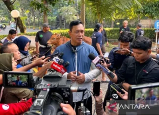 Bulog Siapkan Kapasitas Gudang 7 Juta Ton Optimalkan Penyerapan Gabah