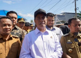 Harga Beras Stabil Ditopang Stok Lima Juta Ton CBP Bulog