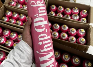 Kasus Whip Pink, Bareskrim akan Jemput Paksa seorang Pemengaruh