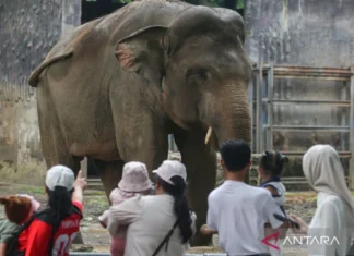 Libur Panjang, 120.000 Orang Diprediksi Kunjungi Ragunan
