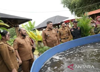 Pemkot Makassar Gencarkan Pertanian Perkotaan Guna Pasok Kebutuhan MBG