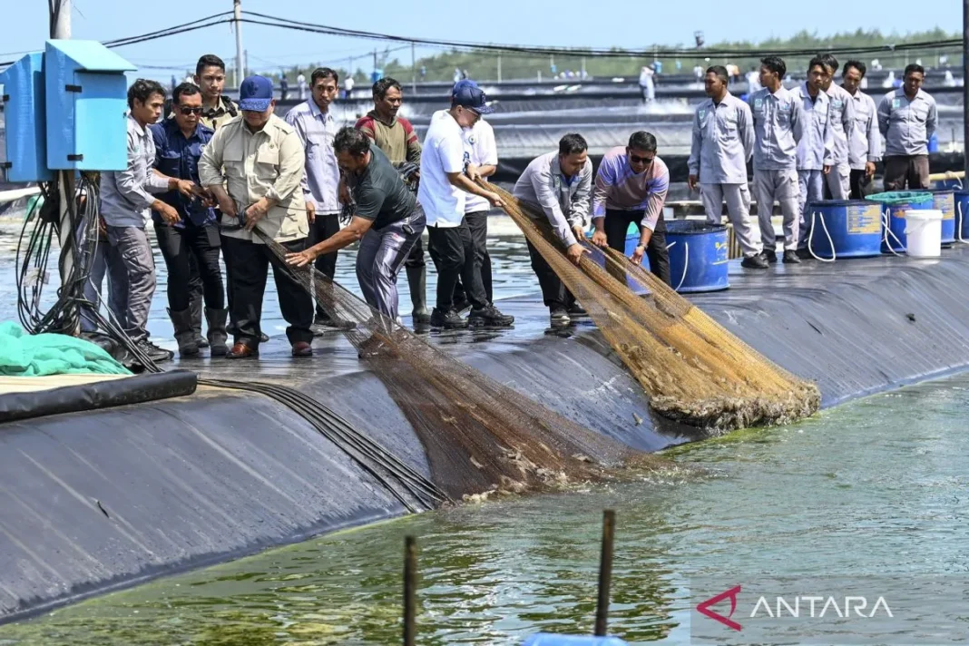 Prabowo minta jajaran jalankan proyek produktif guna hasilkan nilai tambah