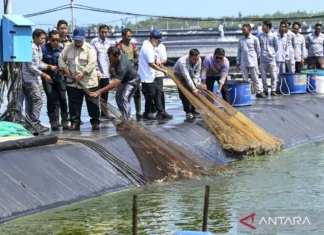 Prabowo Minta Jajaran Jalankan Proyek Produktif Guna Hasilkan Nilai Tambah