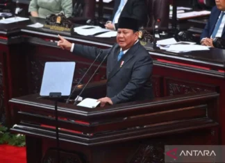 Prabowo Terbitkan PP Tata Kelola Ekspor, BUMN Eksportir Tunggal Sawit