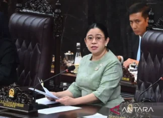 Puan Sebut Presiden Sampaikan KEM-PPKF 2027 jadi Momentum Penting