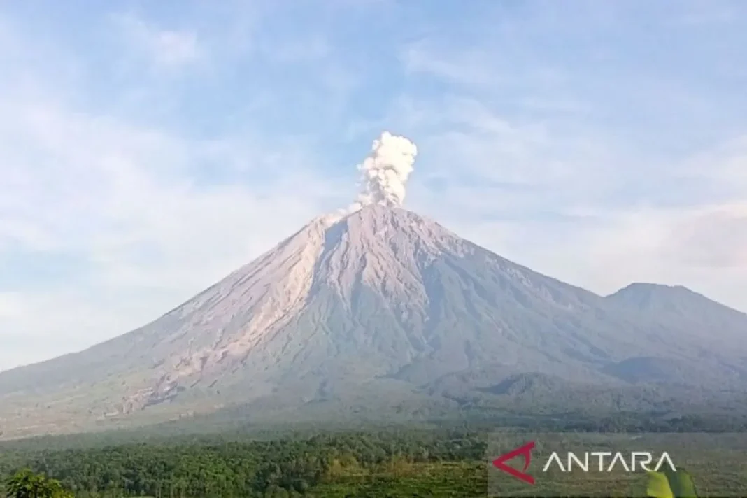 Semeru tiga kali erupsi dengan tinggi letusan hingga 800 meter