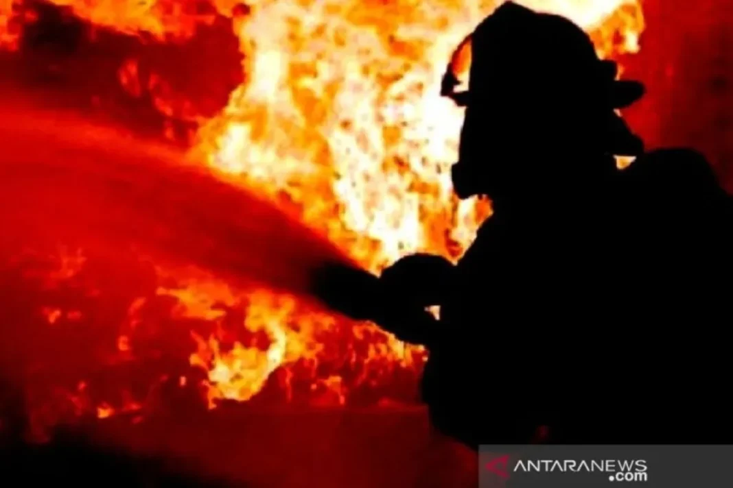 Seorang meninggal dunia dalam kebakaran di Simatupang Tanjung Barat
