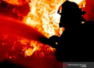 Satu Orang Meninggal Dunia dalam Kebakaran di Simatupang Tanjung Barat