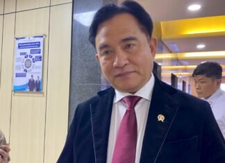 Yusril Tegaskan Tak Ada Pelarangan Nobar Film ‘Pesta Babi’: Silakan Nonton