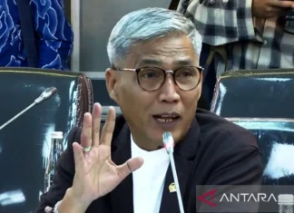 Anggota DPR Minta Pigai Fokus Atasi Persoalan HAM Dibanding Urusi Polri