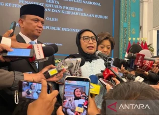 BGN akan Libatkan Pakar Gizi dan Dokter Anak dalam Dewan Pengarah
