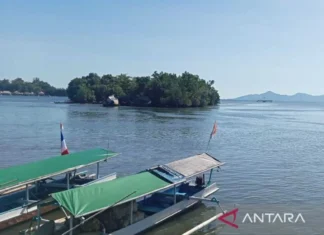 BNPB Imbau Warga Jauhi Pantai Pascagempa M 7,7 di Laut Sulawesi