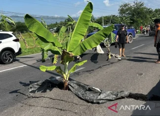 BMKG: Gempa M 7,7 di Mindanao-Filipina akibat Subduksi Lempeng