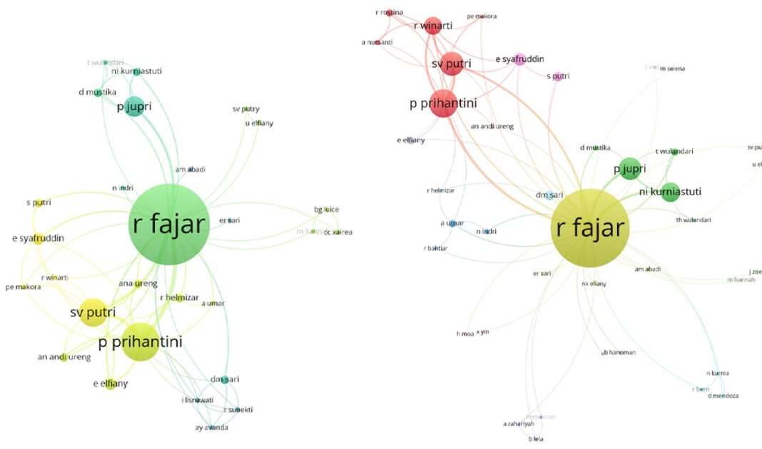 Jaringan Rifaldy Fajar Terduga Riset Palsu Terbongkar dengan Vosviewer, Muncul 3 Nama Utama
