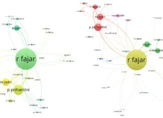 Jaringan Rifaldy Fajar Terduga Riset Palsu Terbongkar dengan Vosviewer, Muncul 3 Nama Utama