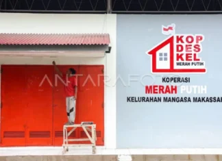 Indef: KDMP Berpeluang Kurangi Ketergantungan Masyarakat pada Rentenir
