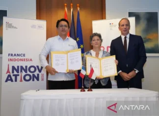 Kemdiktisaintek-IRD Prancis Perkuat Kemitraan Riset dan Inovasi