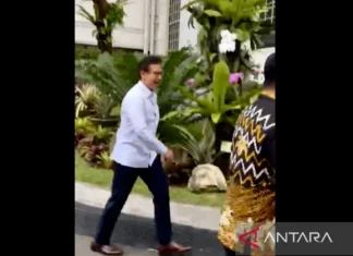 Prabowo lanjut Panggil Menkes setelah Luhut dan Chatib Basri