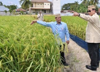 Prabowo Tegaskan Program MBG Penting Atasi Kelaparan