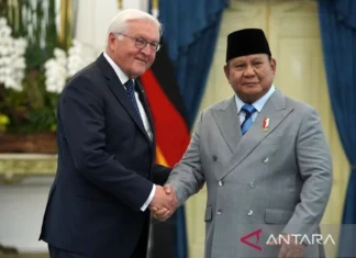 Presiden Jerman Sebut Indonesia Faktor Stabilitas ASEAN