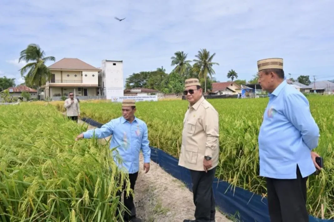Produksi padi naik 100 persen, Prabowo targetkan Indonesia lumbung pangan