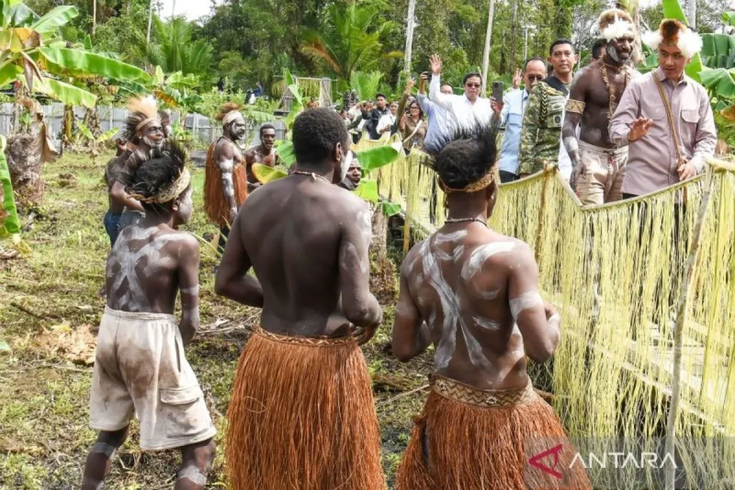 Wapres dukung penguatan komoditas pangan lokal di Papua