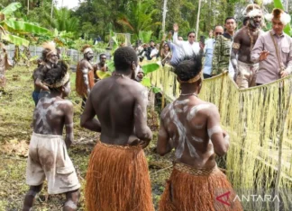 Wapres Dukung Penguatan Komoditas Pangan Lokal di Papua