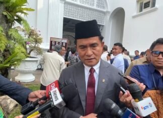 Yusril Sebut Kasus Korupsi Imigrasi yang Seret Silmy Karim Jadi Tamparan Keras bagi Pemerintah