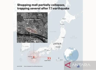 Ahli Duga Gempa M7,1 Jepang Disebabkan Tekanan Sesar Lama