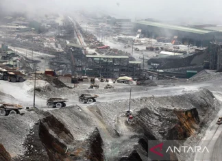 Freeport Proyeksi Kontribusi ke Negara Tembus Rp120 Triliun per Tahun
