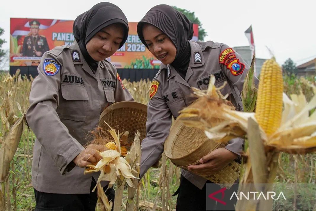 Kapolri sebut hasil panen raya jagung capai 5,7 ton