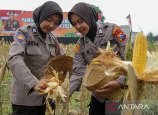 Kapolri Sebut Hasil Panen Raya Jagung Capai 5,7 Ton