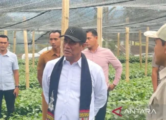 Mentan Bidik Ekspor Kopi Indonesia Tembus Rp100 Triliun per Tahun