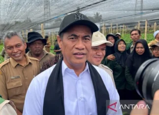 Mentan Memastikan Harga Kopi Gayo Terjaga demi Kesejahteraan Petani Aceh