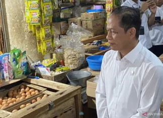 Pemerintah Tegaskan Warung Pangan bukan Saingan KDKMP