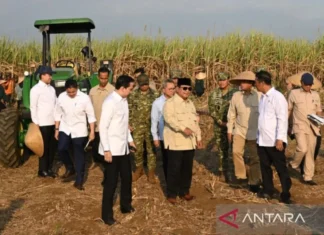 Pengamat Nilai TNI Layak Dilibatkan dalam Program Ketahanan Pangan