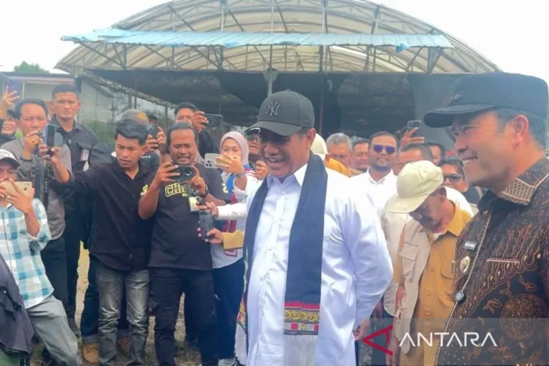 Permainan harga sawit ditindak tegas saat harga TBS menguat