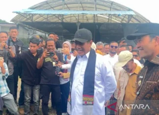 Menteri Amran Pastikan Pihak-pihak yang Permainkan Harga Sawit Ditindak Tegas