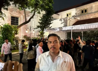Menteri UMKM: Perpres Tetapkan Ojol sebagai Pengusaha Mikro